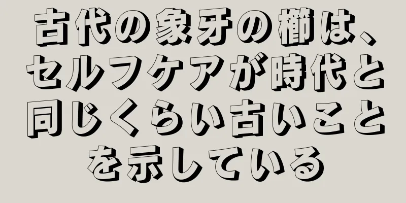 古代の象牙の櫛は、セルフケアが時代と同じくらい古いことを示している