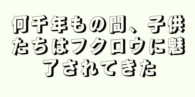 何千年もの間、子供たちはフクロウに魅了されてきた