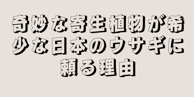 奇妙な寄生植物が希少な日本のウサギに頼る理由