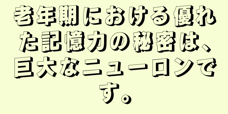 老年期における優れた記憶力の秘密は、巨大なニューロンです。
