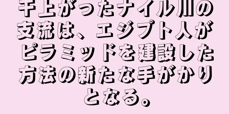 干上がったナイル川の支流は、エジプト人がピラミッドを建設した方法の新たな手がかりとなる。