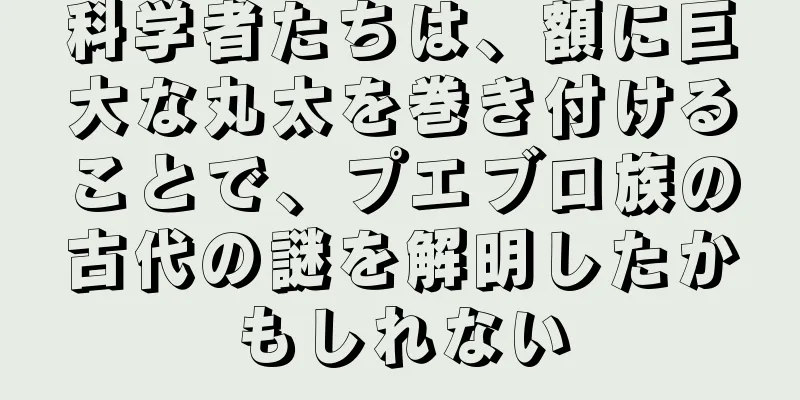 科学者たちは、額に巨大な丸太を巻き付けることで、プエブロ族の古代の謎を解明したかもしれない