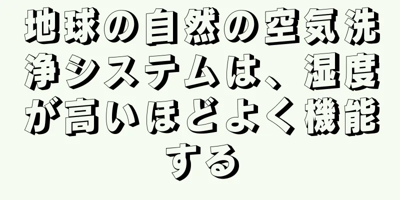 地球の自然の空気洗浄システムは、湿度が高いほどよく機能する