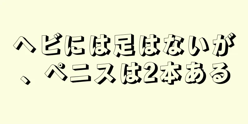 ヘビには足はないが、ペニスは2本ある