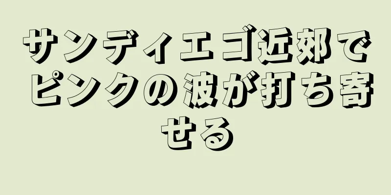 サンディエゴ近郊でピンクの波が打ち寄せる