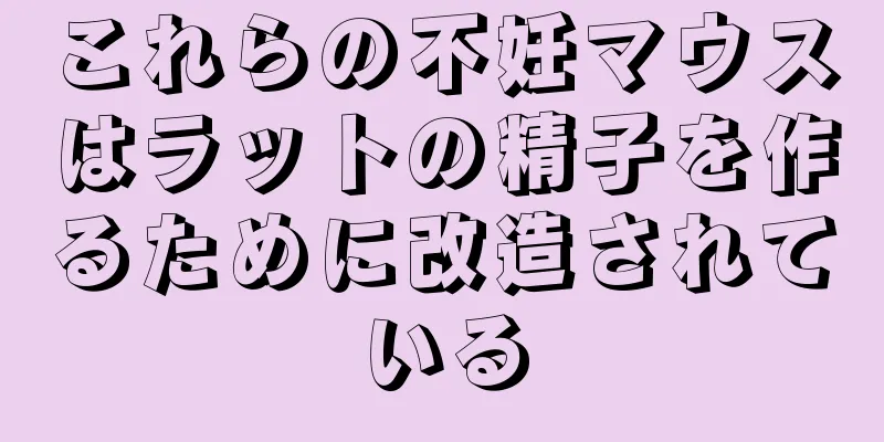 これらの不妊マウスはラットの精子を作るために改造されている