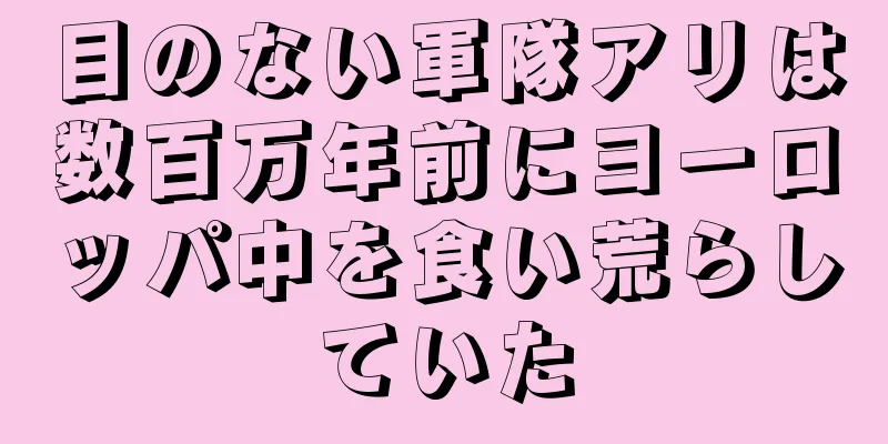 目のない軍隊アリは数百万年前にヨーロッパ中を食い荒らしていた