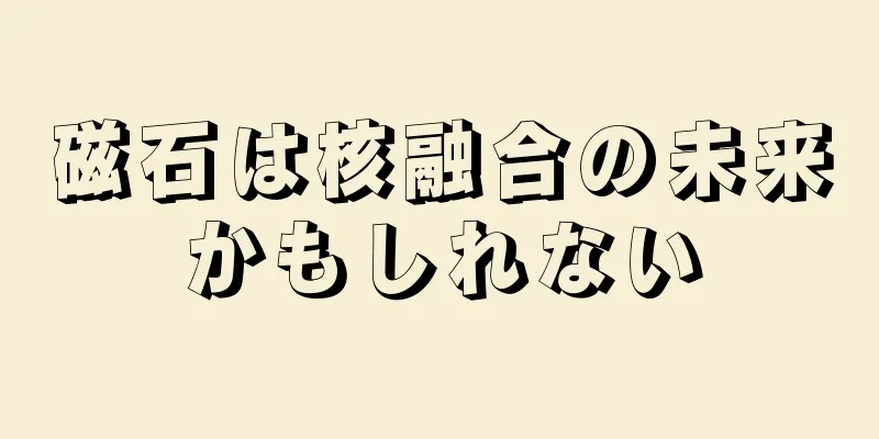 磁石は核融合の未来かもしれない