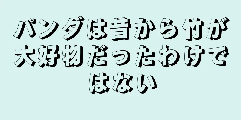 パンダは昔から竹が大好物だったわけではない