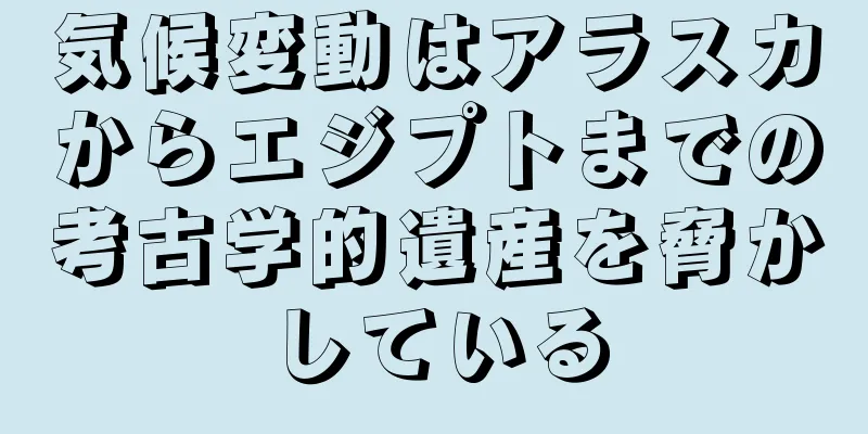 気候変動はアラスカからエジプトまでの考古学的遺産を脅かしている