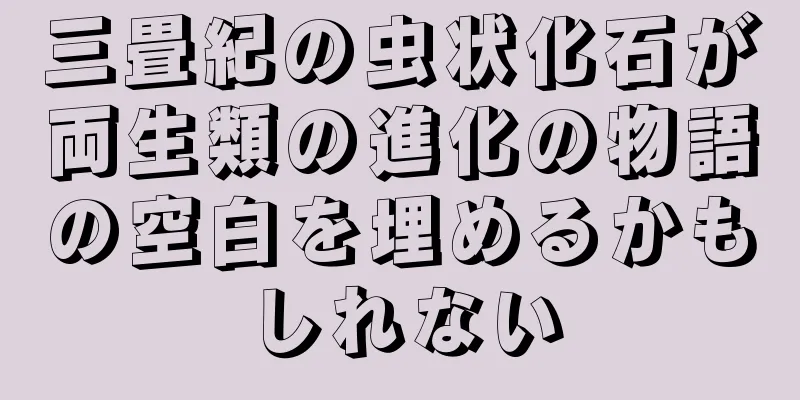 三畳紀の虫状化石が両生類の進化の物語の空白を埋めるかもしれない