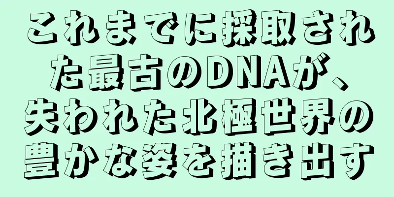 これまでに採取された最古のDNAが、失われた北極世界の豊かな姿を描き出す
