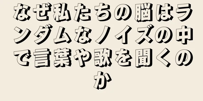 なぜ私たちの脳はランダムなノイズの中で言葉や歌を聞くのか