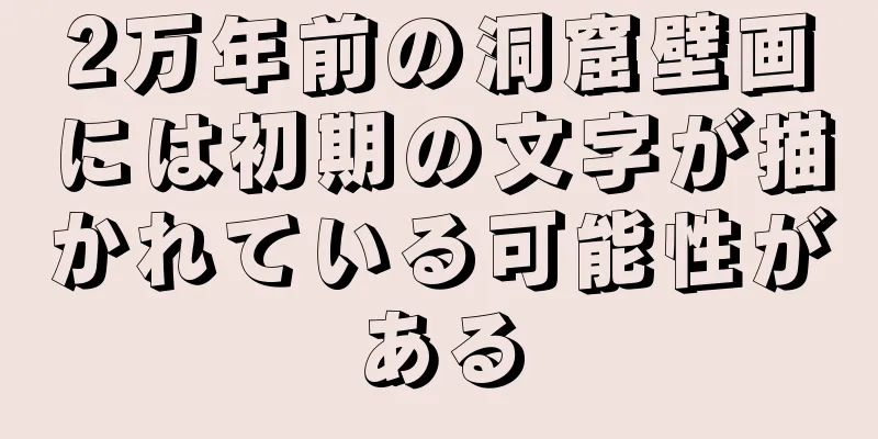 2万年前の洞窟壁画には初期の文字が描かれている可能性がある