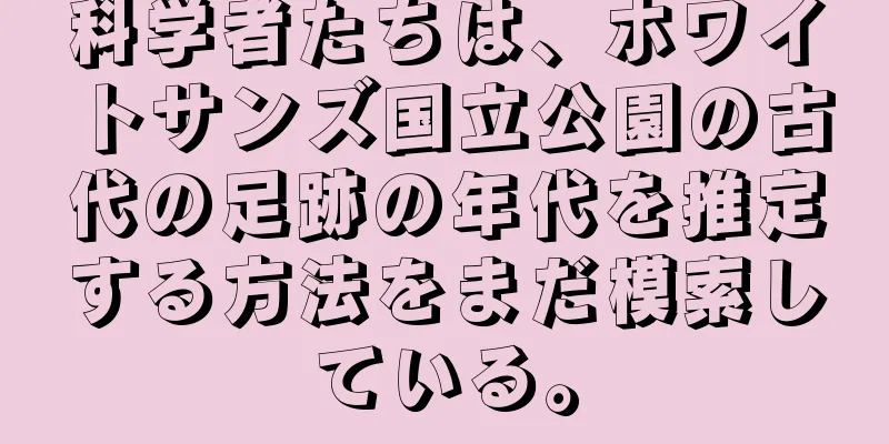 科学者たちは、ホワイトサンズ国立公園の古代の足跡の年代を推定する方法をまだ模索している。