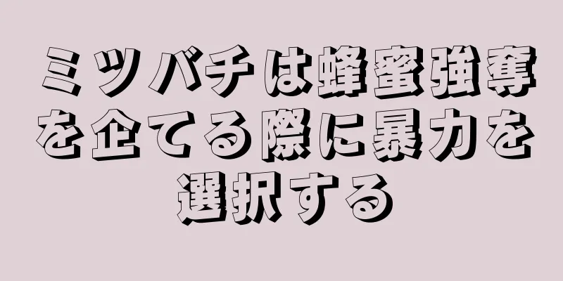 ミツバチは蜂蜜強奪を企てる際に暴力を選択する