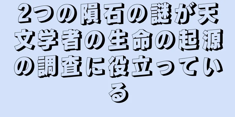 2つの隕石の謎が天文学者の生命の起源の調査に役立っている