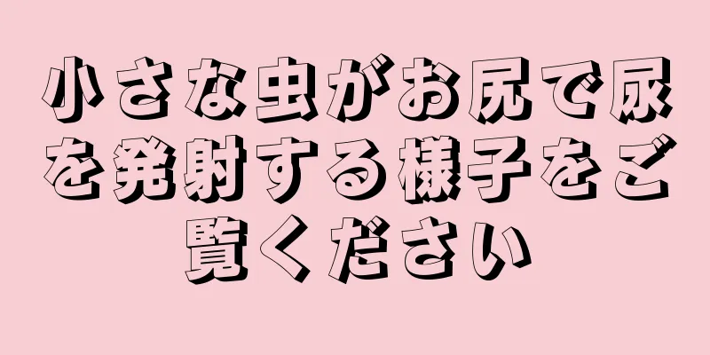 小さな虫がお尻で尿を発射する様子をご覧ください