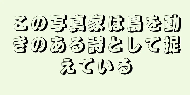 この写真家は鳥を動きのある詩として捉えている