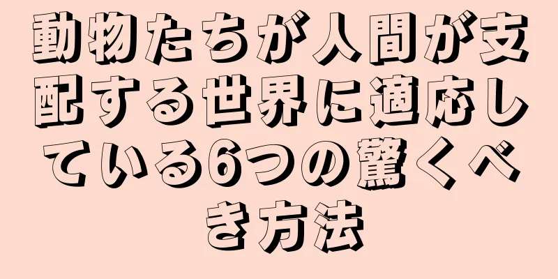 動物たちが人間が支配する世界に適応している6つの驚くべき方法