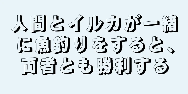 人間とイルカが一緒に魚釣りをすると、両者とも勝利する