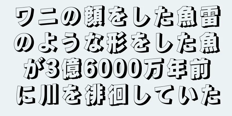 ワニの顔をした魚雷のような形をした魚が3億6000万年前に川を徘徊していた