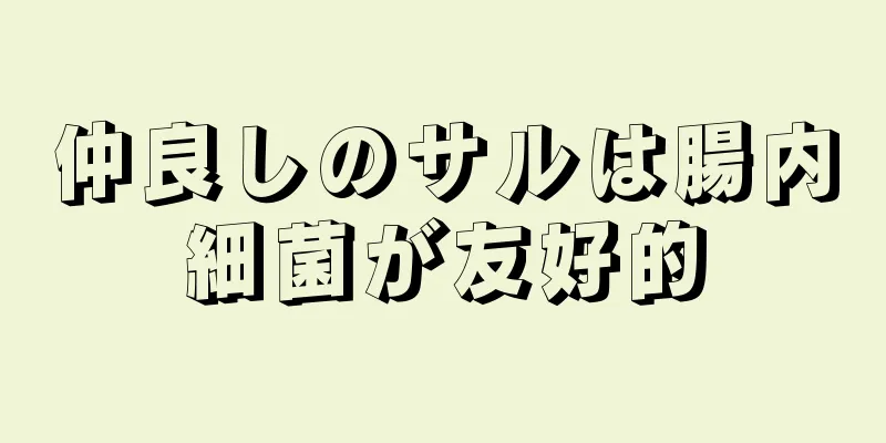 仲良しのサルは腸内細菌が友好的