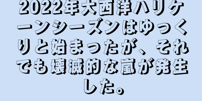 2022年大西洋ハリケーンシーズンはゆっくりと始まったが、それでも壊滅的な嵐が発生した。