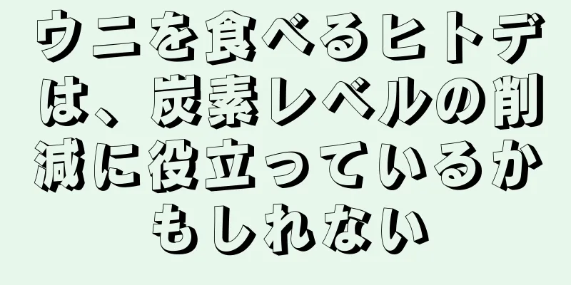ウニを食べるヒトデは、炭素レベルの削減に役立っているかもしれない