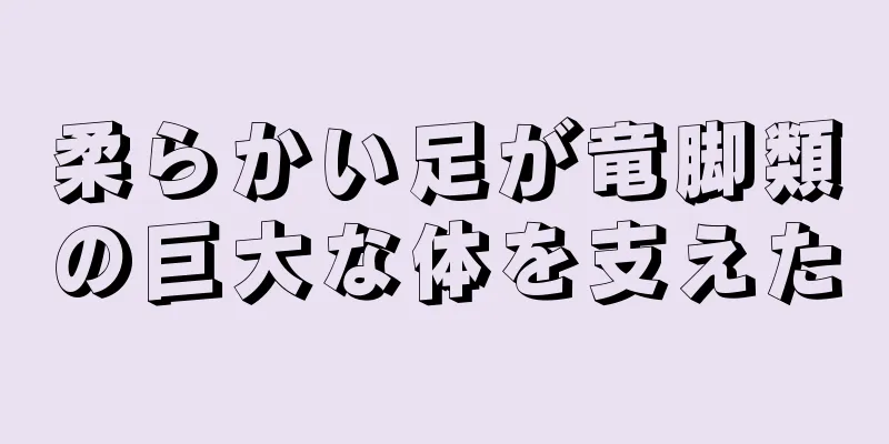 柔らかい足が竜脚類の巨大な体を支えた