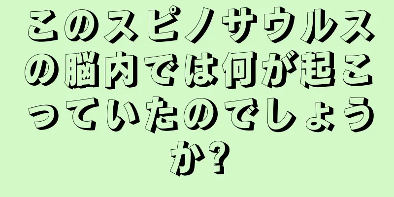 このスピノサウルスの脳内では何が起こっていたのでしょうか?