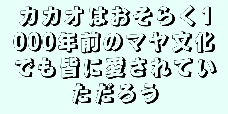カカオはおそらく1000年前のマヤ文化でも皆に愛されていただろう