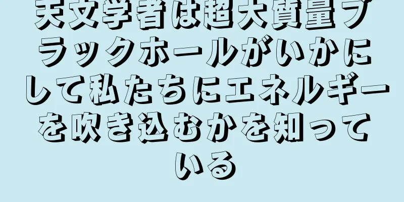 天文学者は超大質量ブラックホールがいかにして私たちにエネルギーを吹き込むかを知っている