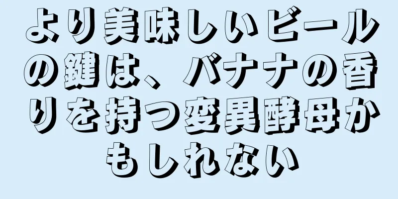 より美味しいビールの鍵は、バナナの香りを持つ変異酵母かもしれない
