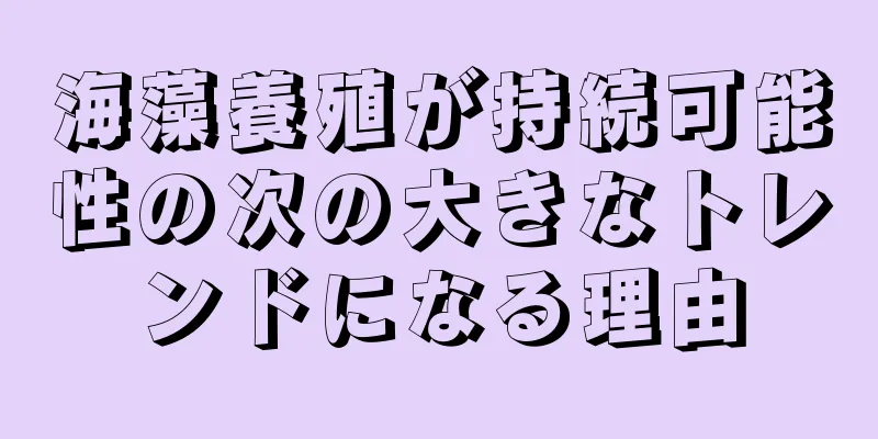 海藻養殖が持続可能性の次の大きなトレンドになる理由
