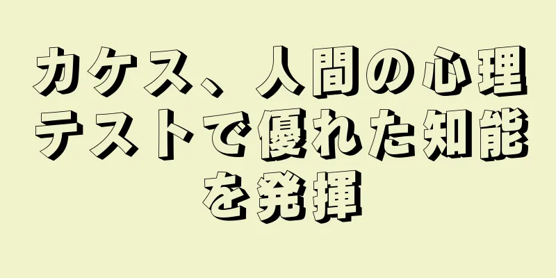 カケス、人間の心理テストで優れた知能を発揮