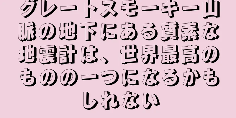 グレートスモーキー山脈の地下にある質素な地震計は、世界最高のものの一つになるかもしれない