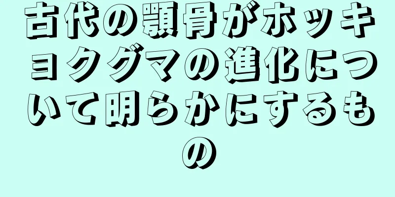 古代の顎骨がホッキョクグマの進化について明らかにするもの