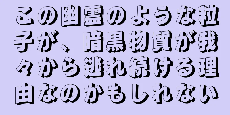 この幽霊のような粒子が、暗黒物質が我々から逃れ続ける理由なのかもしれない