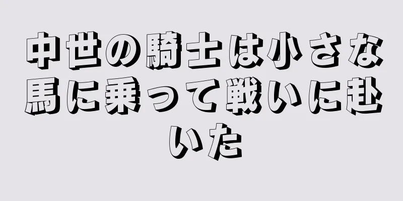 中世の騎士は小さな馬に乗って戦いに赴いた