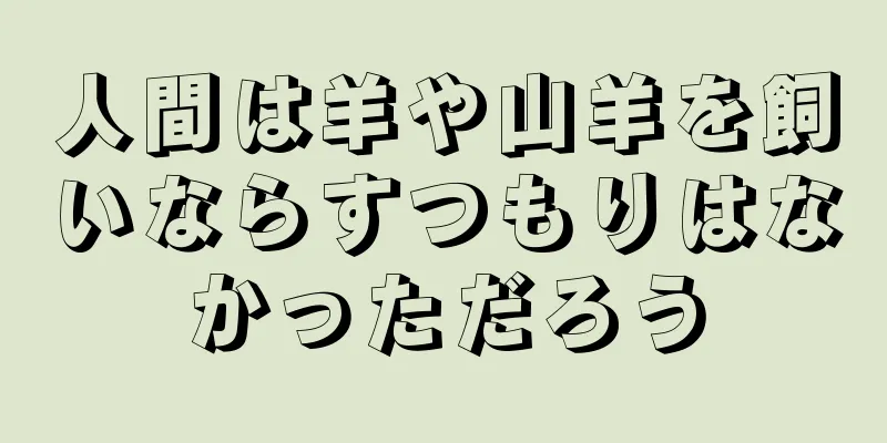 人間は羊や山羊を飼いならすつもりはなかっただろう
