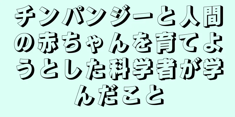 チンパンジーと人間の赤ちゃんを育てようとした科学者が学んだこと