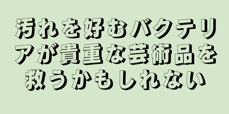 汚れを好むバクテリアが貴重な芸術品を救うかもしれない