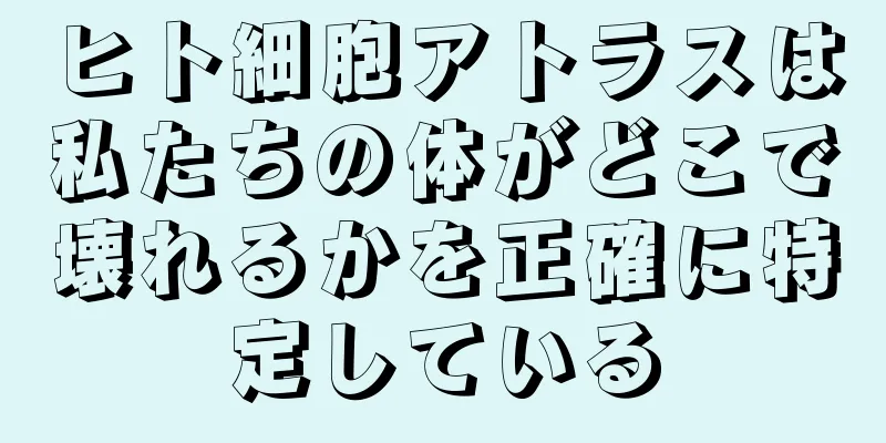 ヒト細胞アトラスは私たちの体がどこで壊れるかを正確に特定している