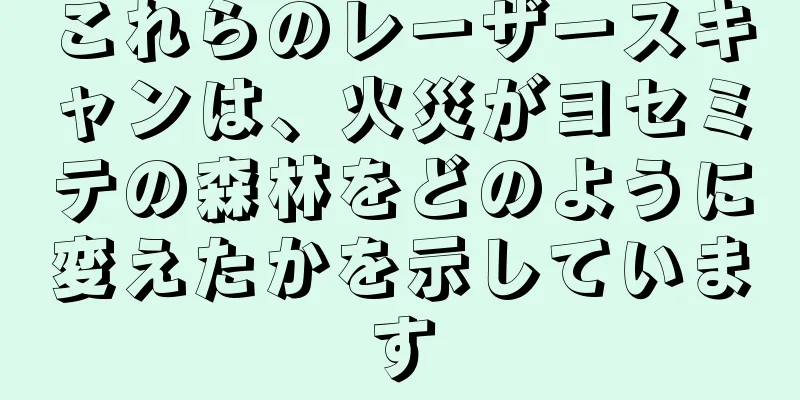 これらのレーザースキャンは、火災がヨセミテの森林をどのように変えたかを示しています
