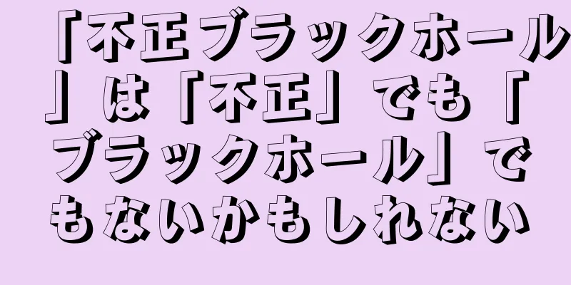 「不正ブラックホール」は「不正」でも「ブラックホール」でもないかもしれない