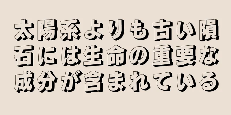 太陽系よりも古い隕石には生命の重要な成分が含まれている