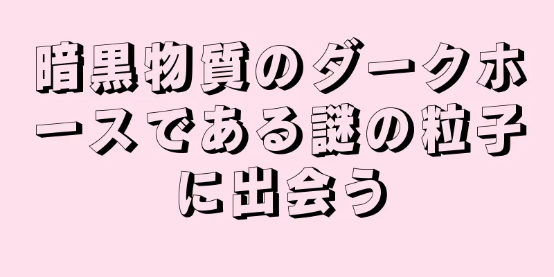 暗黒物質のダークホースである謎の粒子に出会う