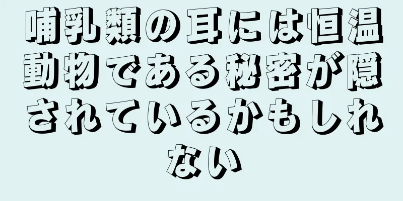 哺乳類の耳には恒温動物である秘密が隠されているかもしれない