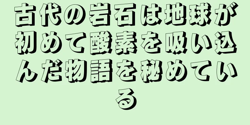 古代の岩石は地球が初めて酸素を吸い込んだ物語を秘めている